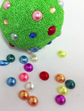 ���� ���ֺ���