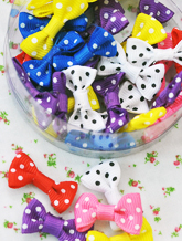 �̴� ����